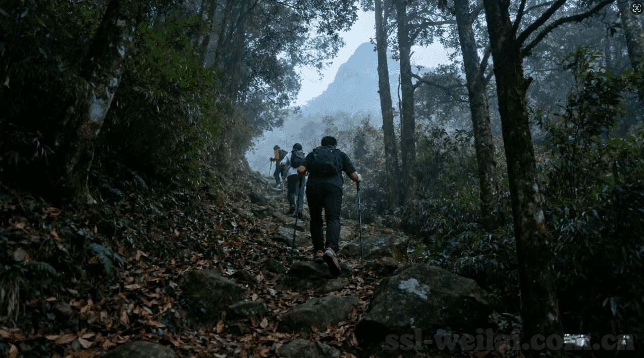 澳门鸿运赌场开户-澳门鸿运赌场开户，体验与风险并存