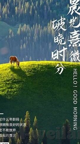 百家乐游戏下载免费-百家乐游戏下载免费，体验经典娱乐的全新途径