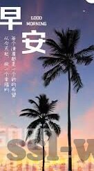 足球比分即时比分球探-揭秘足球比分即时更新背后的球探江湖，数据、速度与激情的碰撞