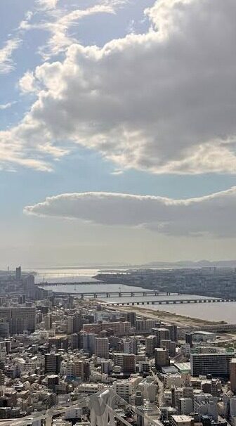 足球 比分 新浪-新浪足球比分,球迷的实时战场,绿茵激情的数字窗口